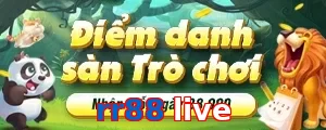rr88 live