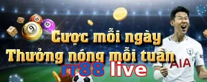 rr88 live